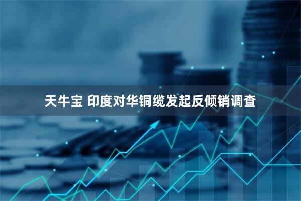 天牛宝 印度对华铜缆发起反倾销调查